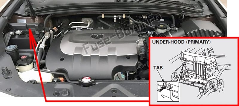 The location of the fuses in the engine compartment: Acura ZDX (2010-2013)